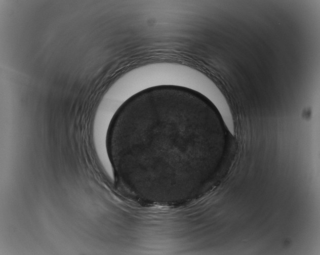 X0000115260227200911201713