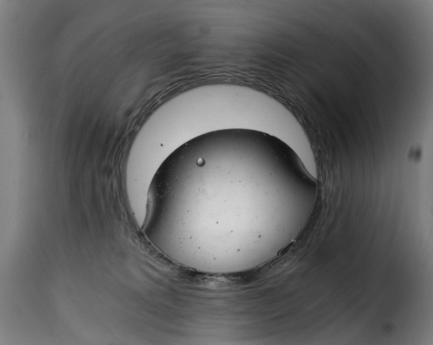X0000115260229200911201713