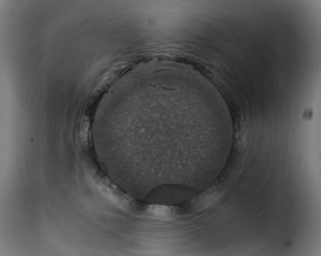 X0000115260231200911201713