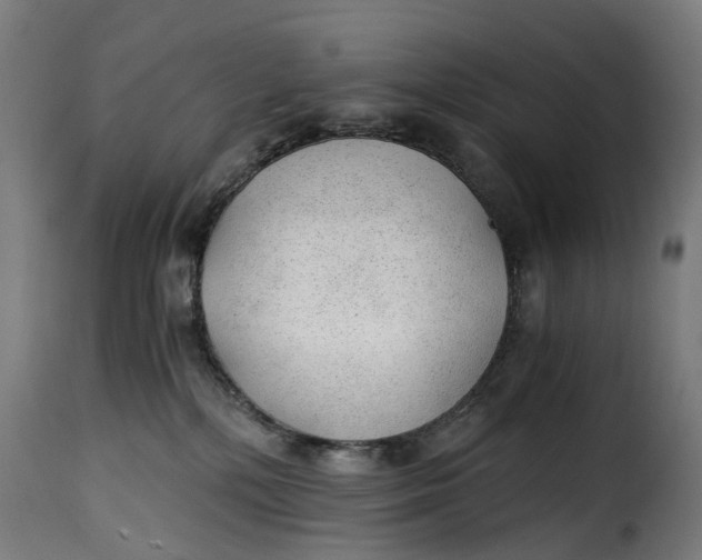 X0000115260232200911201713