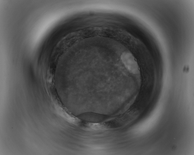 X0000115260239200911201713