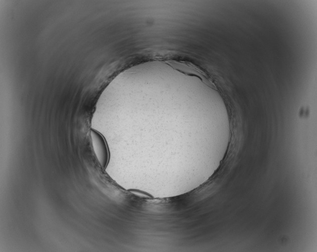 X0000115260240200911201713