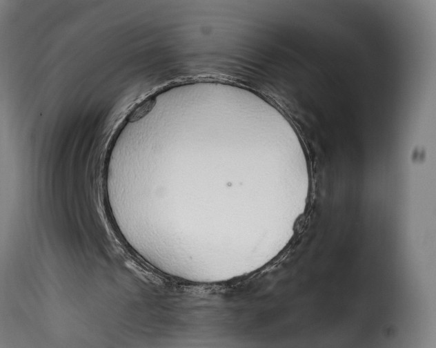 X0000115260241200911201712