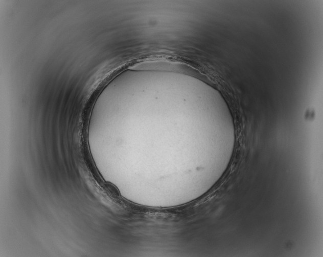 X0000115260242200911201712