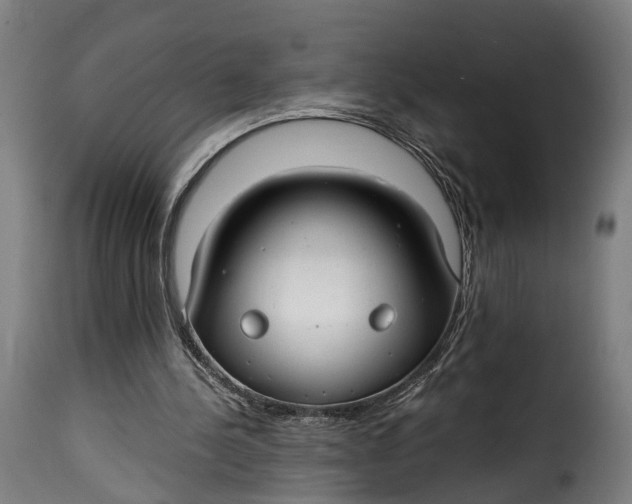 X0000115260244200911201712