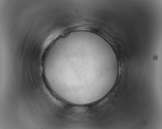 X0000115260245200911201712
