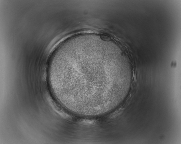 X0000115260247200911201712