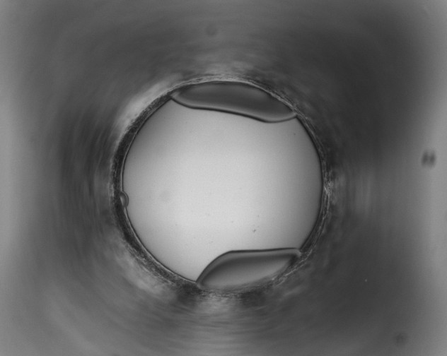 X0000115260248200911201712