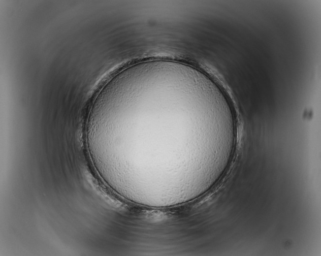 X0000115260249200911201712