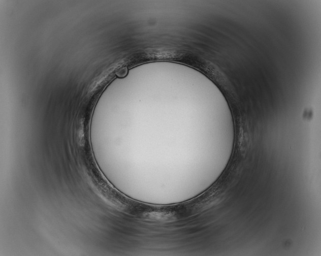 X0000115260251200911201712