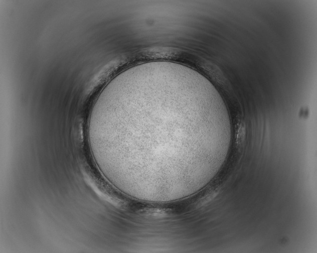 X0000115260254200911201712