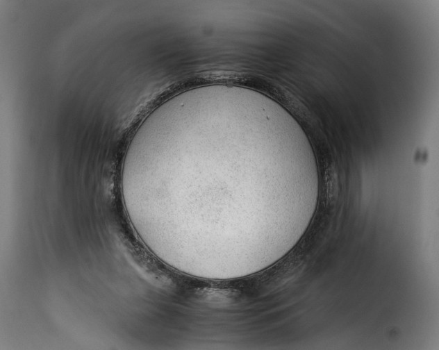 X0000115260255200911201712