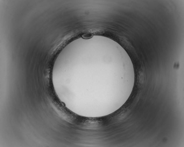 X0000115260260200911201712