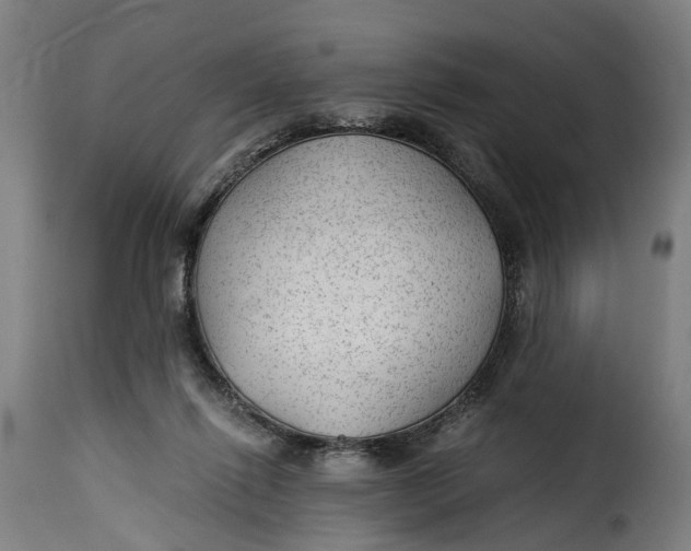 X0000115260262200911201712