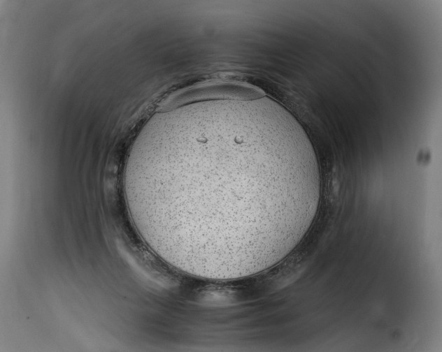 X0000115260263200911201712