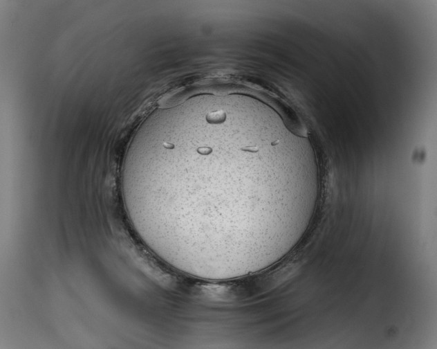 X0000115260265200911201713