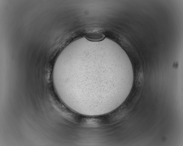 X0000115260268200911201713