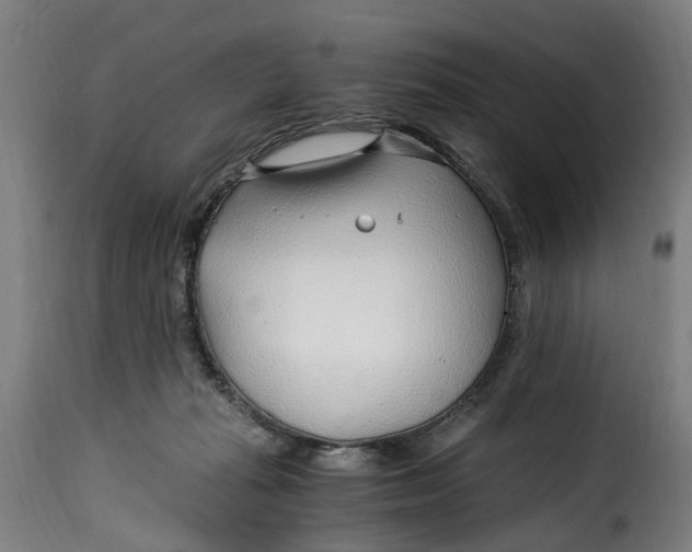 X0000115260269200911201713