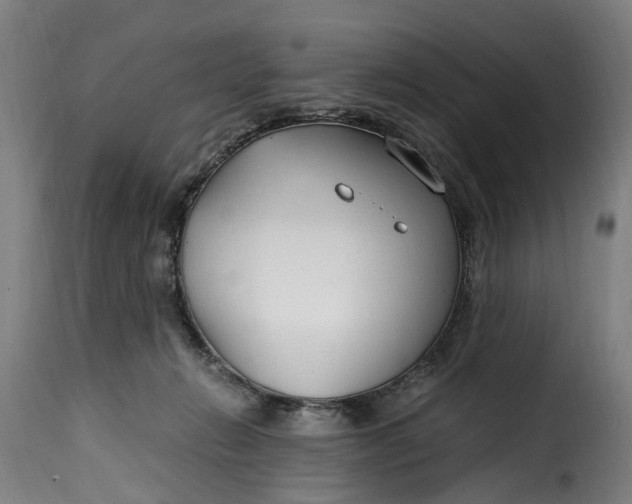 X0000115260270200911201713