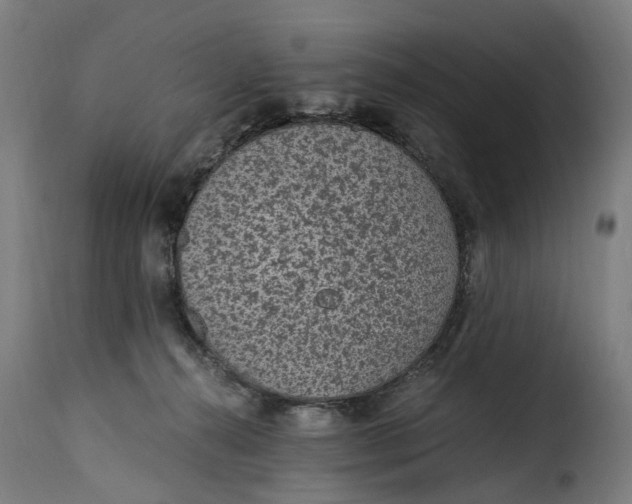 X0000115260272200911201713