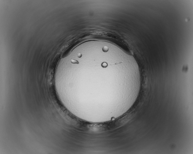 X0000115260273200911201713