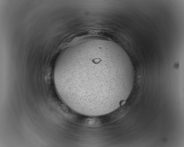X0000115260275200911201713