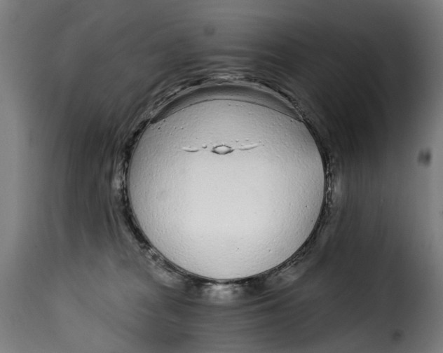 X0000115260277200911201713