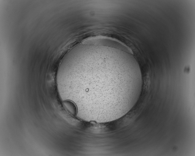 X0000115260278200911201713