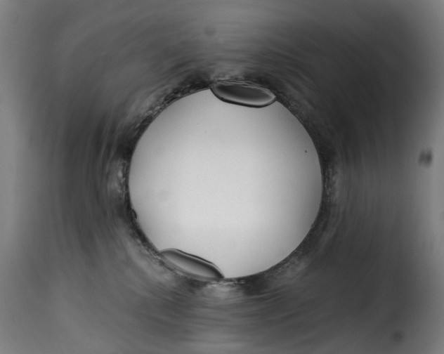 X0000115260280200911201713