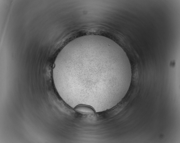 X0000115260282200911201713