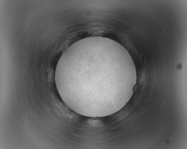 X0000115260283200911201713