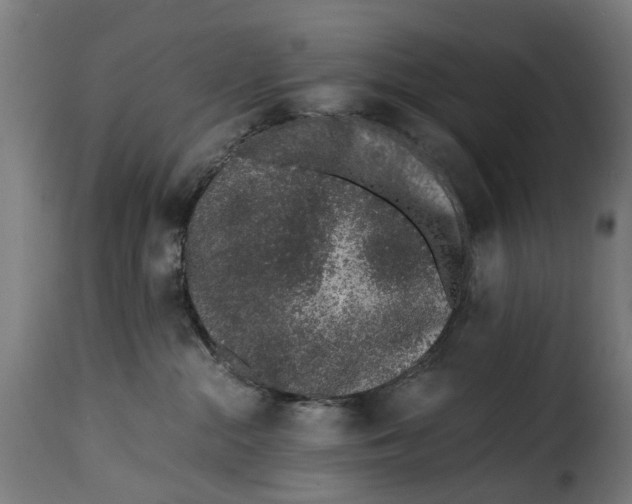 X0000115260284200911201713