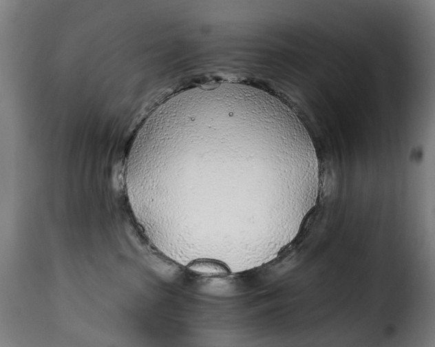X0000115260285200911201713