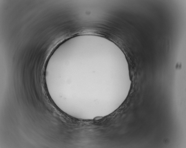 X0000115260289200911201712