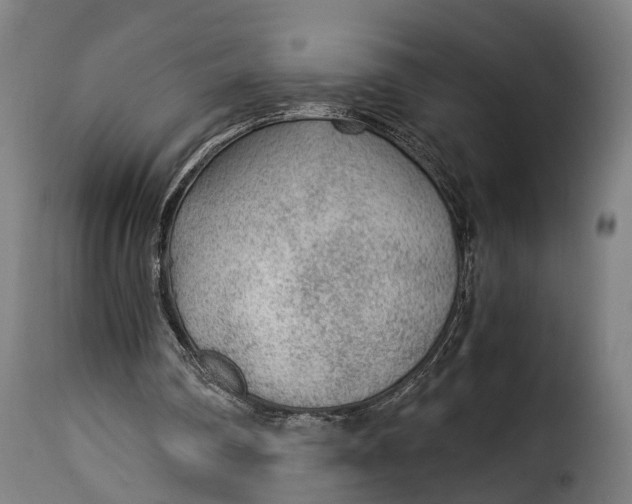 X0000115260290200911201712