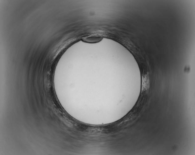 X0000115260291200911201712