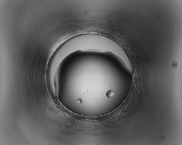 X0000115260292200911201712