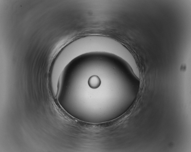 X0000115260293200911201712