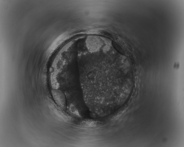 X0000115260295200911201712