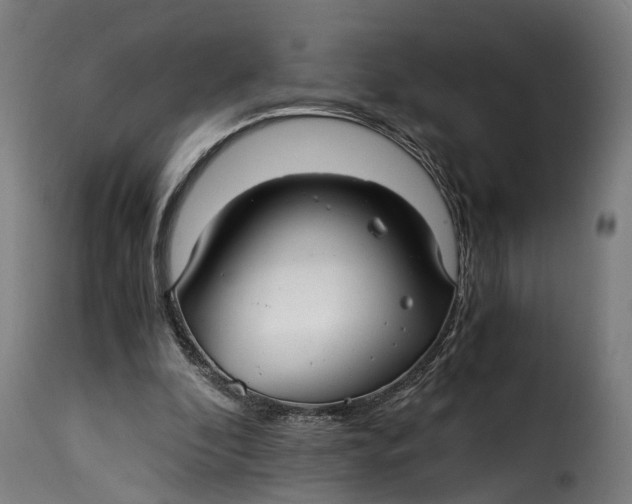 X0000115260296200911201712