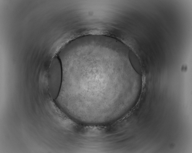 X0000115260297200911201712