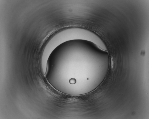 X0000115260300200911201712