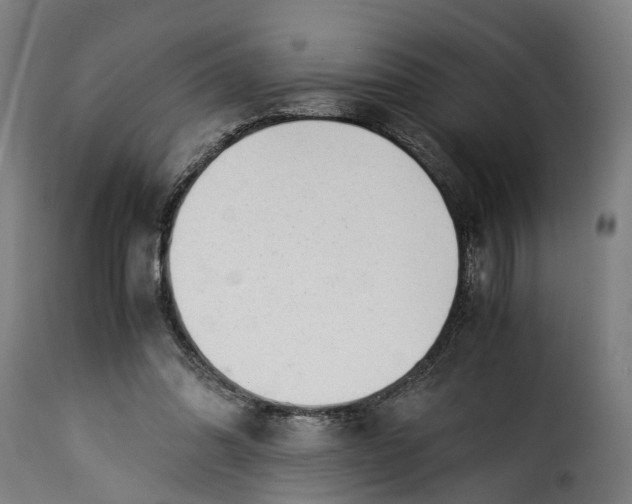 X0000115260302200911201712