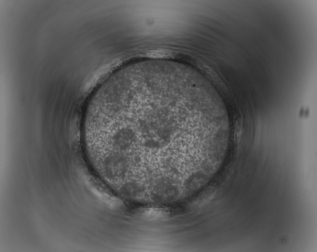 X0000115260303200911201712