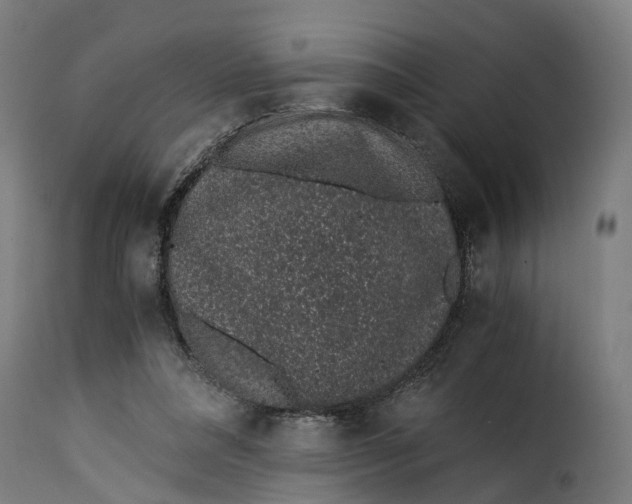 X0000115260304200911201712