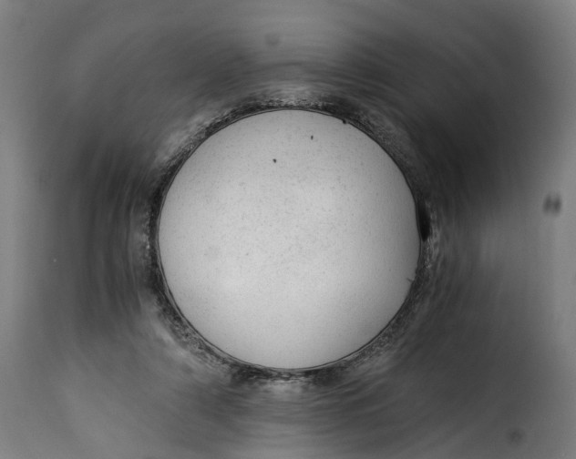 X0000115260306200911201712