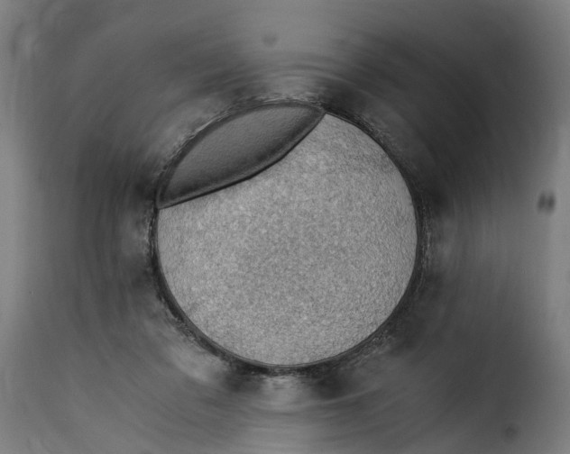 X0000115260309200911201712