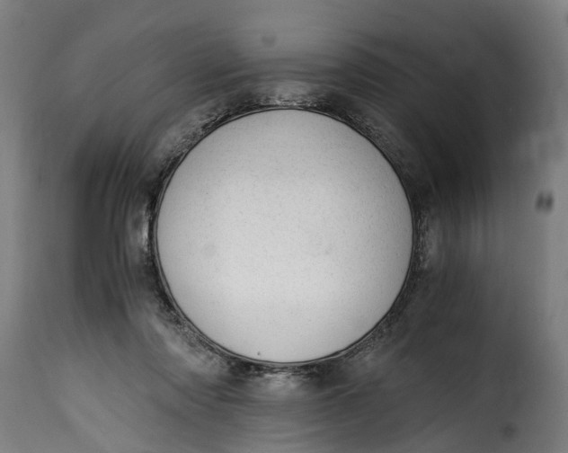 X0000115260310200911201712