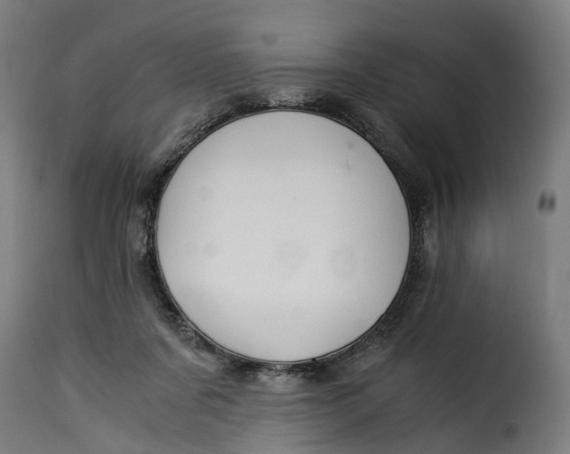 X0000115260311200911201712