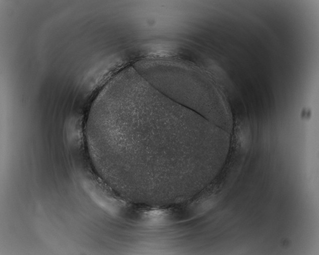 X0000115260312200911201712